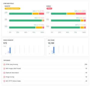 Website audit report